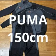 PUMA ジャージセット 150 3点セット