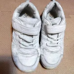 スニーカー　白　瞬足