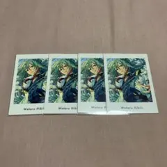 ぱしゃっつ 日々樹渉