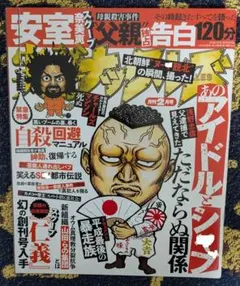 シンコネ様 リクエスト 2点 まとめ商品