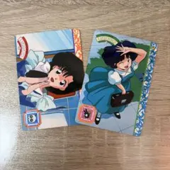 らんま1/2 カード 東風先生 天道かすみ カードダス - メルカリ