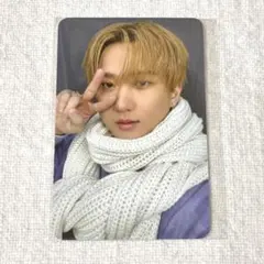 スキズ Do iT FANS 特典 トレカ　チャンビン