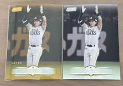 Item thumbnail for item daa7a39b-d316-4c51-ba46-74bd0263a3e3