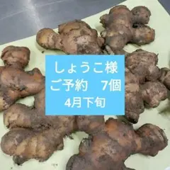 しょうこ様　7個　4月下旬