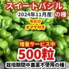 プロフ必見CTMRI※火金発送予定様 リクエスト 2点 まとめ商品