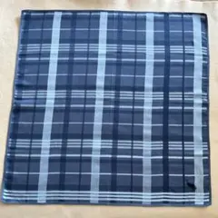 Item thumbnail for item 80280d18-013e-40d4-8d42-accc82a44317