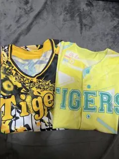 Item thumbnail for item 9f138d6d-0f60-4e14-8f8d-65cd62ca9bfe