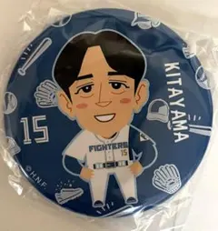 2026年最新】日本ハム ピンバッジの人気アイテム - メルカリ