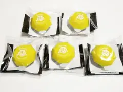 【5個】歌劇 桜蘭高校ホスト部 fine 環 リングライト ホスミュ リンライ