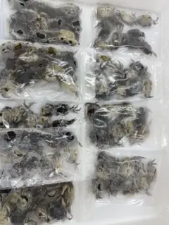 Item thumbnail for item cc8010a2-1c87-4909-9ff5-f7ab408b2935