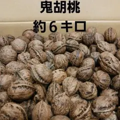 2025年最新】鬼胡桃の人気アイテム - メルカリ