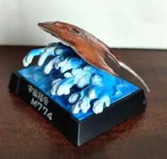 Item thumbnail for item 4b2b820e-7e3d-46a3-a7ea-db7391b9f9b6