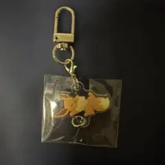 ポケモンスリープ つながるアクリルチャーム ②イーブイフレンズ