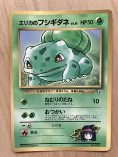 かえるさん様 リクエスト 2点 まとめ商品