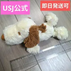 【早い者勝ち】USJ公式 　スヌーピー　ぬいぐるみ　くったり、ふわふわ　茶色