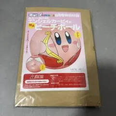 星のカービィビーチボール2種 ファミ通キューブ＋アドバンス付録 新品