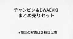 StrayKids　チャンビン＆DWAEKKiセット