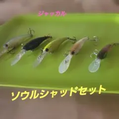 2026年最新】JACKALL シャッドの人気アイテム - メルカリ