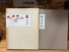 長谷川サダオ 画集 楽園幻視 Sadao Hasegawa - メルカリ