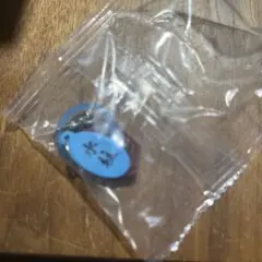 鬼滅の刃 日輪刀めじるしチャーム 冨岡義勇