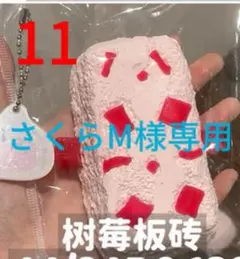 さくらM様専用ページ(即購入不可)