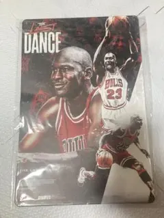 NBA マイケルジョーダン アート