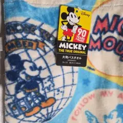 Item thumbnail for item 86c395f7-c0c8-4e37-b3ad-6cfc7c55ed8c