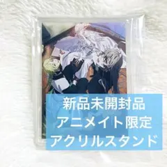CRAZY CHA!N クレチェン エルピスの鎖 アニメイト特典 アクスタ - メルカリ