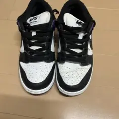 Nike SB Dunk Low Pro Court Purple