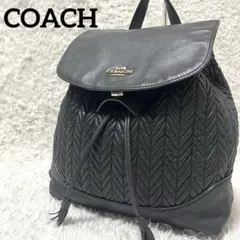 ✨希少✨COACH レザー リュック キルティング チェーン ゴールド金具