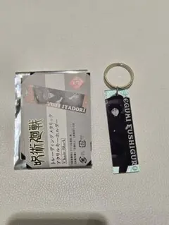 呪術廻戦 PLAZA ロフト メタリックアクリルキーホルダー アクキー 伏黒恵