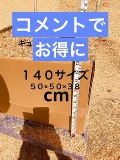 Item thumbnail for item e458e473-d034-4565-b374-6f6b943d5291