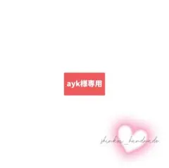 【ayk様専用】