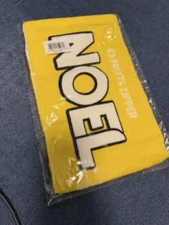 早瀬ノエル　タオル