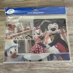東京ディズニーリゾート クリアファイル 3枚セット