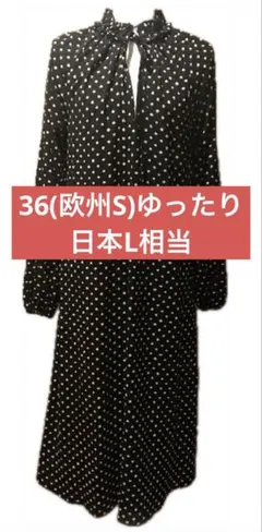 日本L相当36(欧州S)H&Mドット柄ロングワンピース