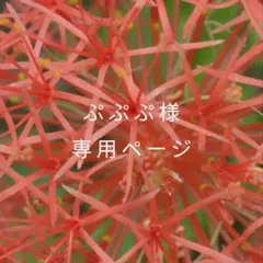 ★専用ページ★