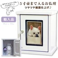 Item thumbnail for item d605b584-1bb9-47ec-bf44-ee55a39ecda6