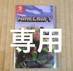 Minecraft Nintendo Switch umo様専用