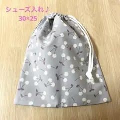 Item thumbnail for item be75d798-31d4-4c0e-bd35-7390f6b8bd7f