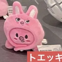 2026年最新】SKZoo ぬいぐるみ チャンビンの人気アイテム - メルカリ