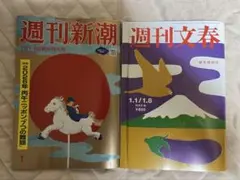 Item thumbnail for item 77fc9c7b-1511-4685-bd16-e4c2d11f1594