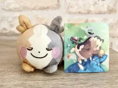 2026年最新】ポケモンセンター ぬいぐるみ タグ付きの人気アイテム