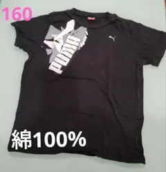 PUMA 黒 Tシャツ 160