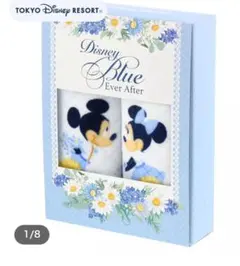 東京ディズニーリゾート ミッキー&ミニー タオルセット