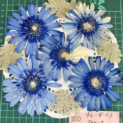 ちひろ様 リクエスト 2点 まとめ商品