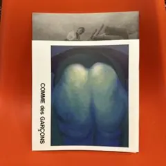 COMME des GARÇONS GEORGIA O'KEEFFE③