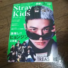 Stray Kids SP VOL.2 ヒョンジン特集号