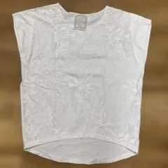 ビアズリー　半袖　サイズ0のサムネイル