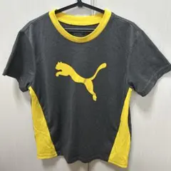 プーマ　Tシャツ 140のサムネイル
